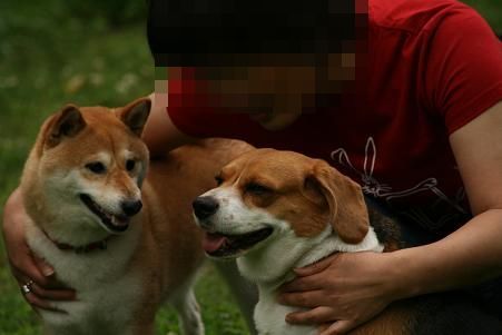 0807aa.jpg
