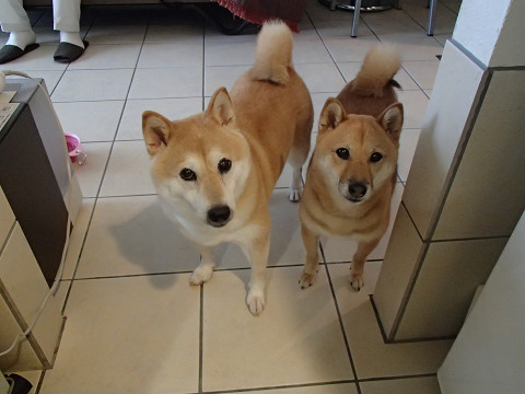 10-2resize0299.jpg