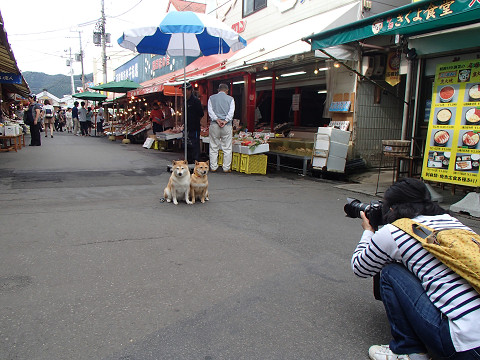 10resize0251.jpg