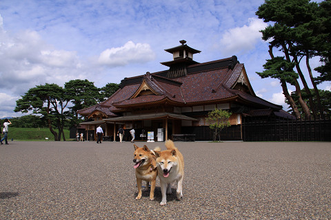 10resize0281.jpg