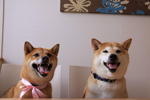 10resize0379.jpg