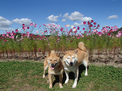 10resize0383.jpg