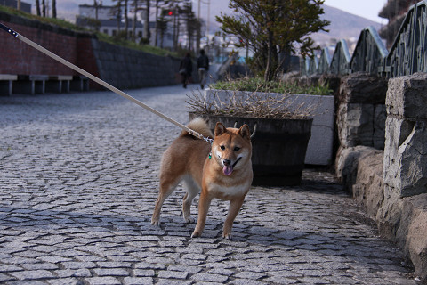 10resize0583.jpg