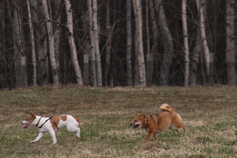 10resize0650.jpg