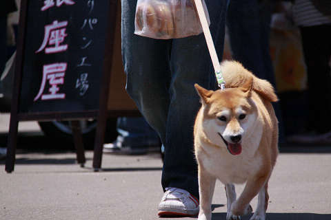 10resize1313.jpg