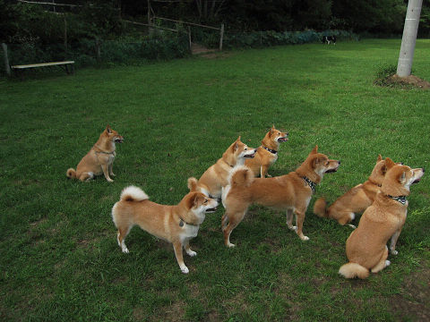 10resize2098.jpg
