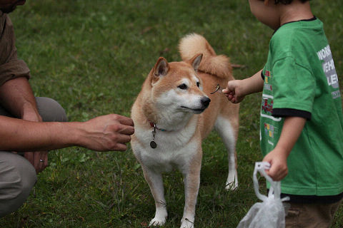 10resize2179.jpg