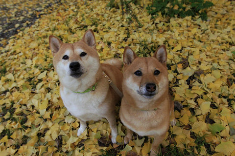 10resize2450.jpg