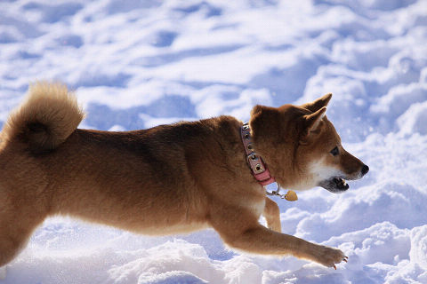10resize2655.jpg