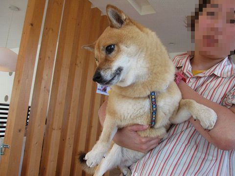10resize3437.jpg