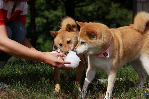 10resize3490.jpg