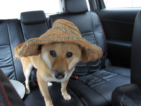 10resize3541.jpg
