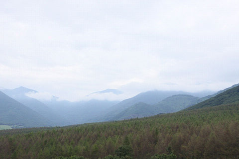 10resize3903.jpg