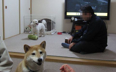 10resize4876.jpg
