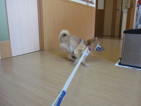 10resize5283.jpg