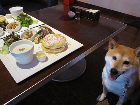 10resize5438.jpg