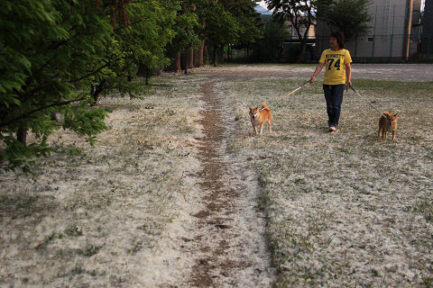 10resize5464.jpg