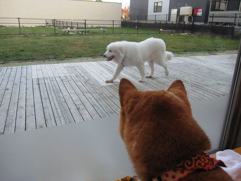 10resize6325.jpg