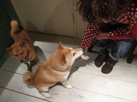 10resize6329.jpg