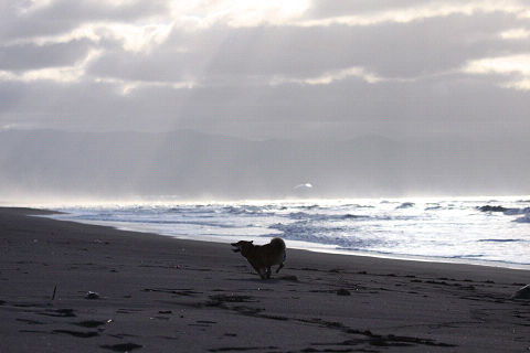 10resize6383.jpg