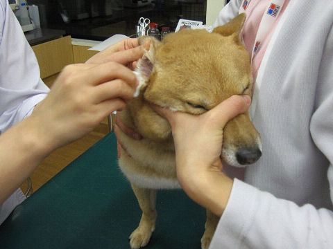 10resize6427.jpg