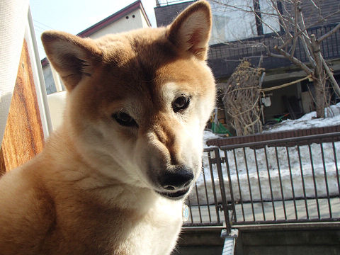 10resize6956.jpg