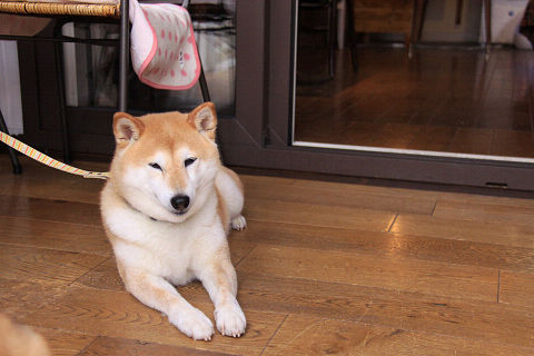 10resize6974.jpg