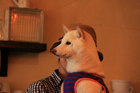 10resize7303.jpg