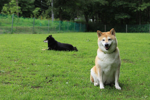 10resize7624.jpg