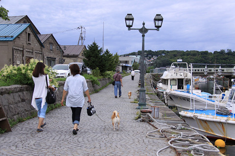 11resize0169.jpg