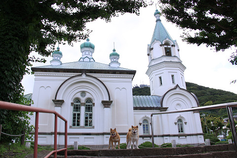 11resize0204.jpg