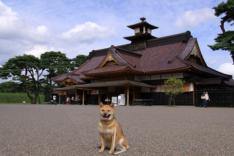 11resize0282.jpg
