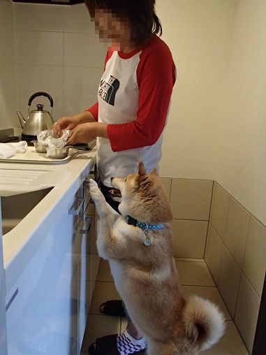 11resize0328.jpg