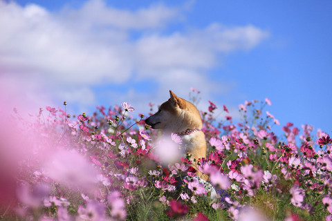 11resize0395.jpg