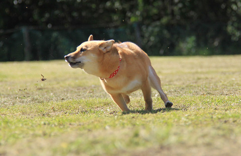 11resize0446.jpg