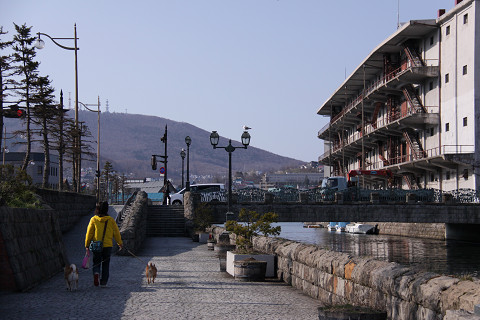 11resize0584.jpg