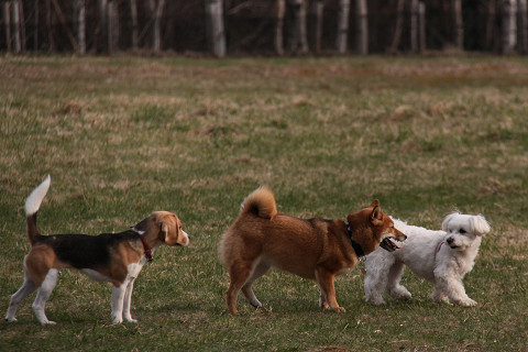 11resize0651.jpg