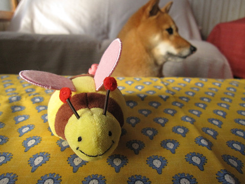 11resize0679.jpg