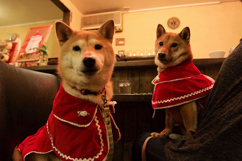 11resize1095.jpg