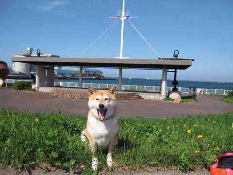 11resize1438.jpg
