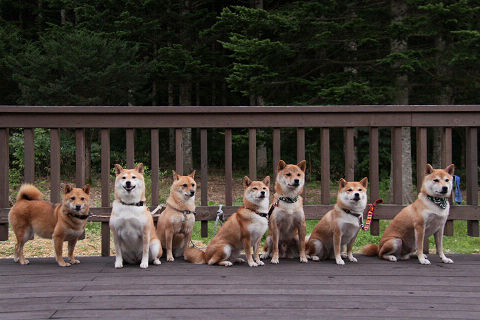 11resize2116.jpg