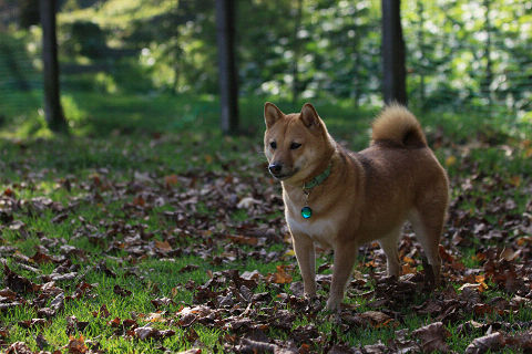 11resize2375.jpg