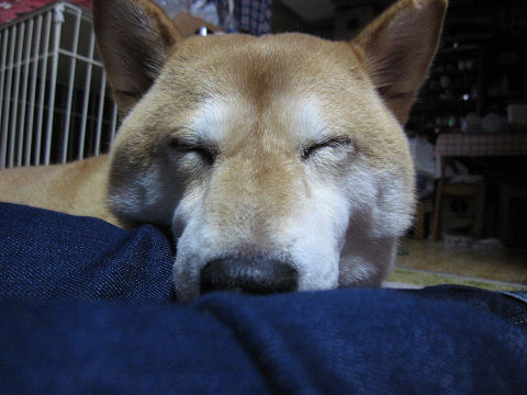 11resize2630.jpg