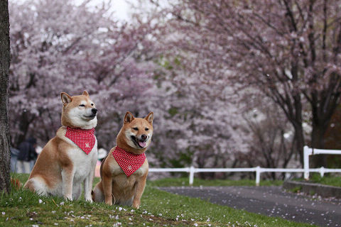 11resize3073.jpg