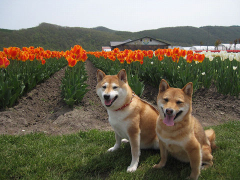 11resize3132.jpg