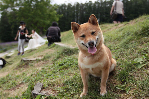 11resize3407.jpg