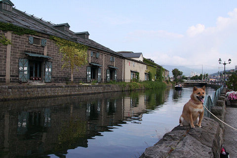11resize3420.jpg