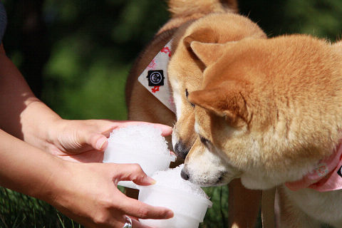 11resize3491.jpg