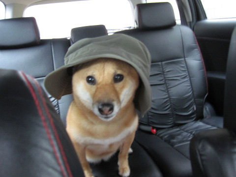11resize3542.jpg