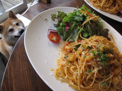 11resize3555.jpg